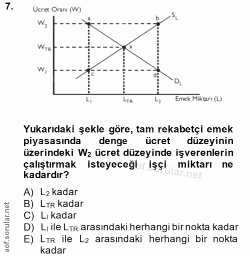 7. soru: Ucret Oranı (W) WTR W, DL Emek Miktarı (L) Yukarıdaki şekle göre, tam rekabetçi emek piyasasında denge ücret düzeyini…