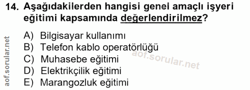 14. soru: Aşağıdakilerden hangisi genel amaçlı işyeri eğitimi kapsamında değerlendirilmez? A) Bilgisayar kullanımı B) Telefon k…