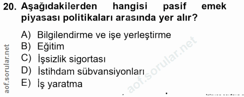 20. soru: Aşağıdakilerden hangisi pasif emek piyasası politikaları arasında yer alır? A) Bilgilendirme ve işe yerleştirme B) Eğ…