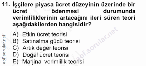 11. soru: İşçilere piyasa ücret düzeyinin üzerinde bir ücret ödenmesi durumunda verimliliklerinin artacağını ileri süren teori…
