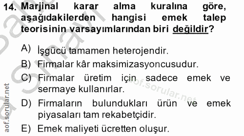 14. soru: Marjinal karar alma kuralına göre, aşağıdakilerden hangisi emek talep teorisinin varsayımlarından biri değildir? A) I…
