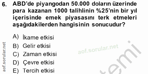6. soru: ABD'de piyangodan 50.000 doların üzerinde para kazanan 1000 talihlinin %25'nin bir yıl içerisinde emek piyasasını ter…