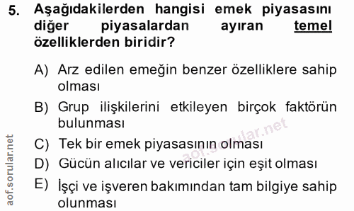 5. soru: Aşağıdakilerden hangisi emek piyasasını diğer piyasalardan ayıran temel özelliklerden biridir? A) Arz edilen emeğin b…