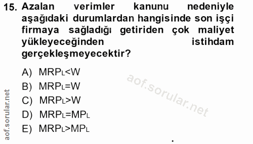 15. soru: Azalan verimler kanunu nedeniyle aşağıdaki durumlardan hangisinde son işçi firmaya sağladığı getiriden çok maliyet yü…
