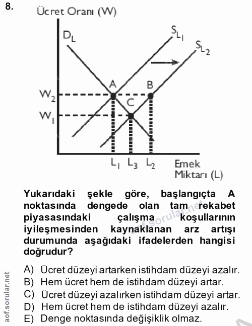 8. soru: Ucret Oranı (W) DL SL -2 B Wz W, L, L3 L2 Emek Miktarı (L) Yukarıdaki şekle göre, başlangıçta A noktasında dengede ol…