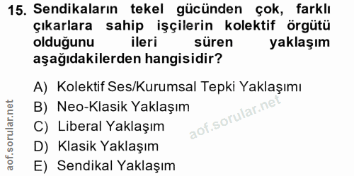 15. soru: Sendikaların tekel gücünden çok, farklı çıkarlara sahip işçilerin kolektif örgütü olduğunu ileri süren yaklaşım aşağı…