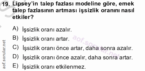 19. soru: Lisey'in talep fazlası modeline göre, emek talep fazlasının artması işsizlik oranını nasıl etkiler? A) İşsizlik oranı…