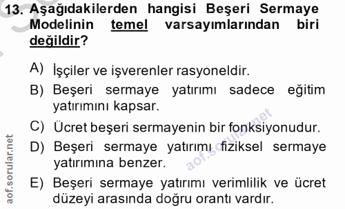 13. soru: Aşağıdakilerden hangisi Beşeri Sermaye Modelinin temel varsayımlarından biri değildir? A) İşçiler ve işverenler rasyo…