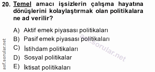 20. soru: Temel amacı işsizlerin çalışma hayatına dönüşlerini kolaylaştırmak olan politikalara ne ad verilir? A) Aktif emek piy…