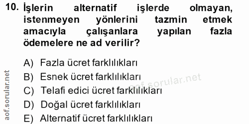 10. soru: İşlerin alternatif işlerde olmayan, istenmeyen yönlerini tazmin etmek amacıyla çalışanlara yapılan fazla ödemelere ne…