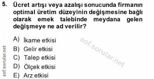 5. soru: Ucret artışı veya azalışı sonucunda firmanın optimal üretim düzeyinin değişmesine bağlı olarak emek talebinde meydana…