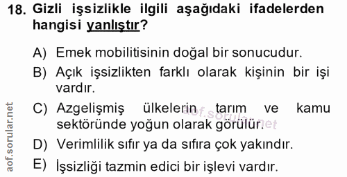 18. soru: Gizli işsizlikle ilgili aşağıdaki ifadelerden hangisi yanlıştır? A) Emek mobilitisinin doğal bir sonucudur. B) Açık i…