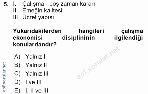 5. soru: 1. Çalışma - boş zaman kararı II. Emeğin kalitesi III. Ücret yapısı Yukarıdakilerden hangileri çalışma ekonomisi disi…