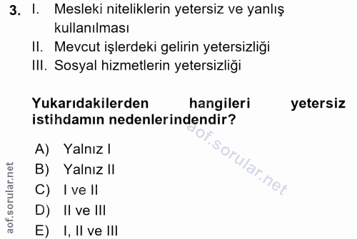 3. soru: !. Mesleki niteliklerin yetersiz ve yanlış kullanılması II. Mevcut işlerdeki gelirin yetersizliği IlI. Sosyal hizmetl…