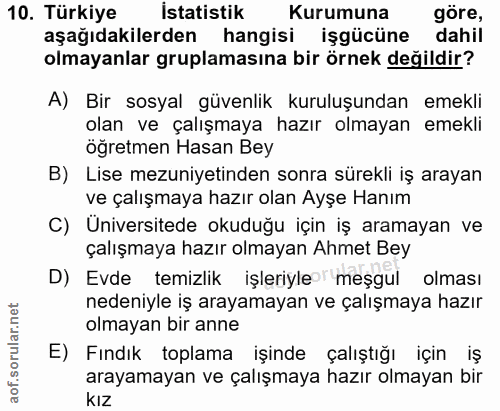 10. soru: Türkiye İstatistik Kurumuna göre, aşağıdakilerden hangisi işgücüne dahil olmayanlar gruplamasına bir örnek değildir?…