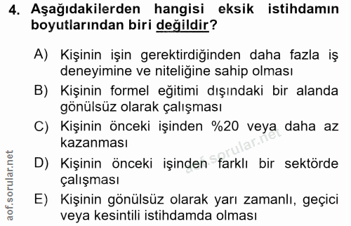 4. soru: Aşağıdakilerden hangisi eksik istihdamın boyutlarından biri değildir? A) Kişinin işin gerektirdiğinden daha fazla iş…