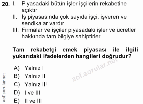 20. soru: I. Piyasadaki bütün işler işçilerin rekabetine açıktır. II. İş piyasasında çok sayıda işçi, işveren ve sendikalar var…