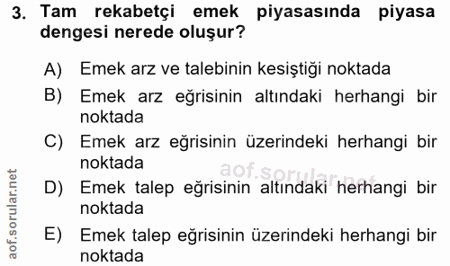 3. soru: Tam rekabetçi emek piyasasında piyasa dengesi nerede oluşur? A) Emek arz ve talebinin kesiştiği noktada B) Emek arz e…