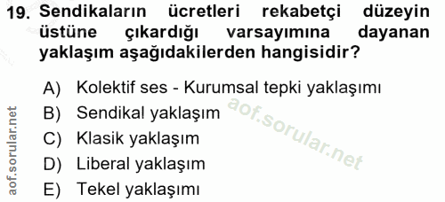 19. soru: Sendikaların ücretleri rekabetçi düzeyin üstüne çıkardığı varsayımına dayanan yaklaşım aşağıdakilerden hangisidir? A)…