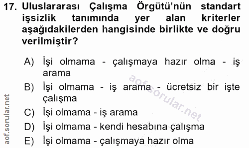 17. soru: Uluslararası Çalışma Örgütü'nün standart işsizlik tanımında yer alan kriterler aşağıdakilerden hangisinde birlikte ve…