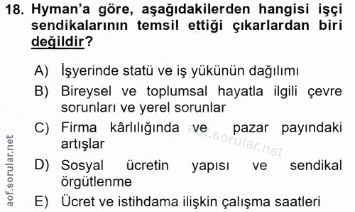 18. soru: Hyman'a göre, aşağıdakilerden hangisi işçi sendikalarının temsil ettigi çıkarlardan biri değildir? A) İşyerinde statü…