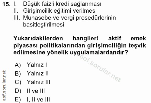 15. soru: I. Düşük faizli kredi sağlanması Il. Girişimcılik eğitimi verilmesi III. Muhasebe ve vergi prosedürlerinin basitleşti…