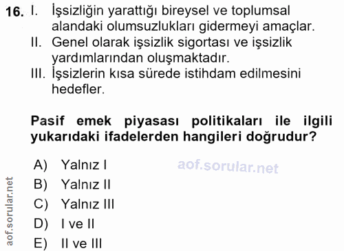 16. soru: I. İşsizliğin yarattığı bireysel ve toplumsal alandaki olumsuzlukları gidermeyi amaçlar. II. Genel olarak işsizlik si…