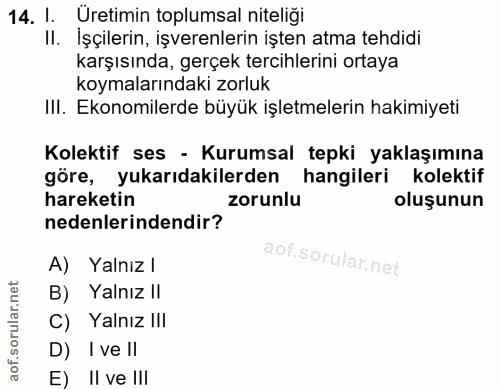 14. soru: 1. Üretimin toplumsal niteliği II. İşçilerin, işverenlerin işten atma tehdidi karşısında, gerçek tercihlerini ortaya…
