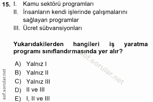 15. soru: I. Kamu sektörü programları II. İnsanların kendi işlerinde çalışmalarını sağlayan programlar III. Ücret sübvansiyonla…