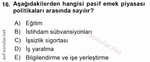 16. soru: Aşağıdakilerden hangisi pasif emek piyasası politikaları arasında sayılır? A) Eğitim orular.net B) İstihdam sübvansiy…