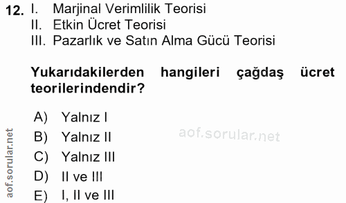12. soru: 1. Marjinal Verimlilik Teorisi II. Etkin Ucret Teorisi IlI. Pazarlık ve Satın Alma Gücü Teorisi Yukarıdakilerden hang…