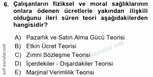 6. soru: Çalışanların fiziksel ve moral sağlıklarının onlara ödenen ücretlerle yakından ilişkili olduğunu ileri süren teori aş…