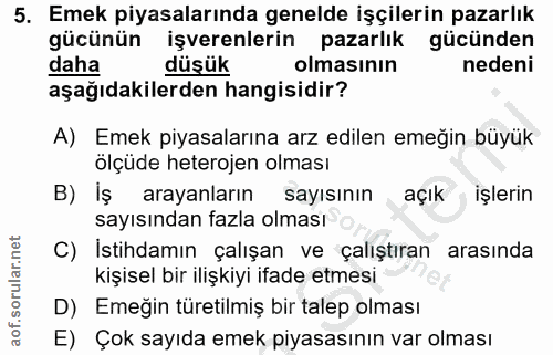 5. soru: Emek piyasalarında genelde işçilerin pazarlık gücünün işverenlerin pazarlık gücünden daha düşük olmasının nedeni aşağ…