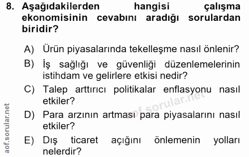 8. soru: Aşağıdakilerden hangisi çalışma ekonomisinin cevabını aradığı sorulardan biridir? A) Ürün piyasalarında tekelleşme na…