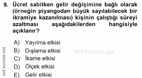 9. soru: Ücret sabitken gelir değişimine bağlı olarak (örneğin piyangodan büyük sayılabilecek bir ikramiye kazanılması) kişini…