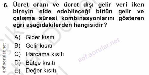 6. soru: Ucret oranı ve ücret dışı gelir veri iken bireyin elde edebileceği bütün gelir ve çalışma süresi kombinasyonlarını gö…