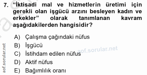 7. soru: "İktisadi mal ve hizmetlerin üretimi için gerekli olan işgücü arzını besleyen kadın ve erkekler" olarak tanımlanan ka…