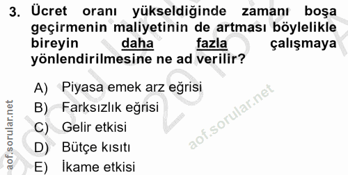 3. soru: Ucret oranı yükseldiğinde zamanı boşa geçirmenin maliyetinin de artması böylelikle bireyin daha fazla çalışmaya yönle…