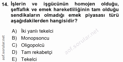 14. soru: İşlerin ve işgücünün homojen olduğu, şeffaflık ve emek hareketliliğinin tam olduğu sendikaların olmadığı emek piyasas…
