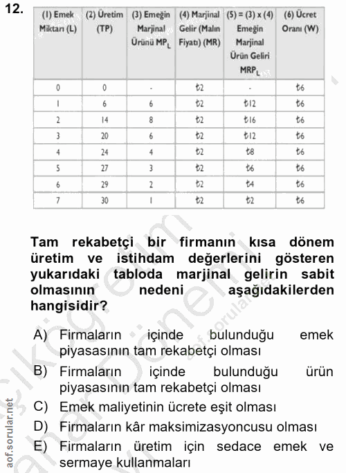12. soru: (I) Emek (2) Üretim (3) Emeğin (4) Marjinal (5) = (3) x (4) (6) Ucret Miktar (L) (TP) Marjinal Gelir (Malın Emeğin Or…