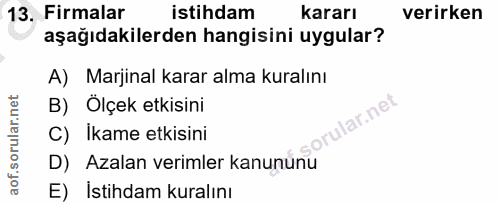 13. soru: Firmalar istihdam kararı verirken aşağıdakilerden hangisini uygular? A) Marjinal karar alma kuralını B) Ölçek etkisin…