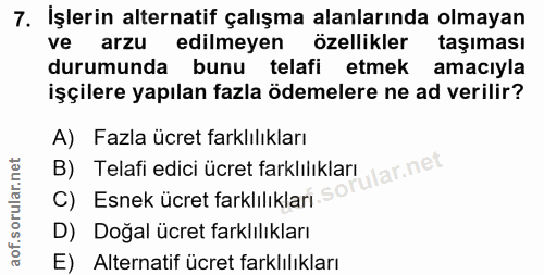 7. soru: İşlerin alternatif çalışma alanlarında olmayan ve arzu edilmeyen özellikler taşıması durumunda bunu telafi etmek amac…