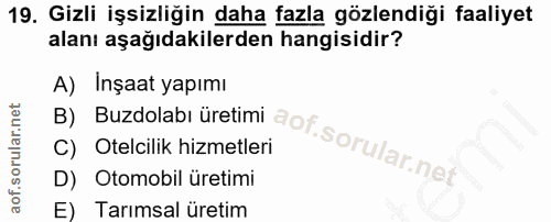 19. soru: Gizli işsizliğin daha fazla gözlendiği faaliyet alanı aşağıdakilerden hangisidir? B) Buzdolabı üretimi aof sorular ne…