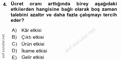 4. soru: Ucret oranı arttığında birey aşağıdaki etkilerden hangisine bağlı olarak boş zaman talebini azaltır ve daha fazla çal…