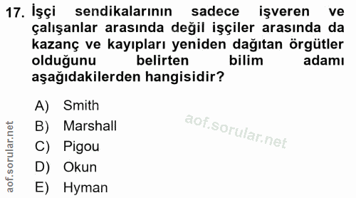 17. soru: İşçi sendikalarının sadece işveren ve çalışanlar arasında değil işçiler arasında da kazanç ve kayıpları yeniden dağıt…