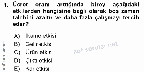 1. soru: Ucret oranı arttığında birey aşağıdaki etkilerden hangisine bağlı olarak boş zaman talebini azaltır ve daha fazla çal…