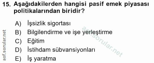 15. soru: Aşağıdakilerden hangisi pasif emek piyasası politikalarından biridir? A) İşsizlik sigortası B) Bilgilendirme ve işe y…