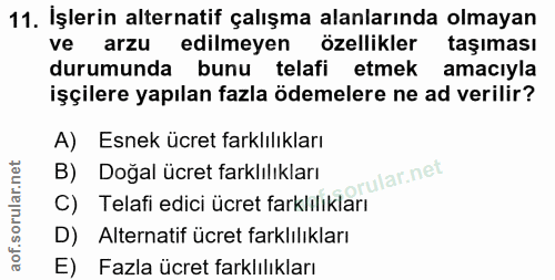 11. soru: İşlerin alternatif çalışma alanlarında olmayan ve arzu edilmeyen özellikler taşıması durumunda bunu telafi etmek amac…