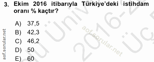 3. soru: Ekim 2016 itibarıyla Türkiye'deki istihdam oranı % kaçtır? A) 37,5 42,3 C) 46,2 rular.net D) 50 E) 60