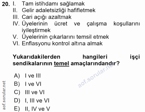 20. soru: 1. Tam istihdamı sağlamak II. Gelir adaletsizliği hafifletmek III. Cari açığı azaltmak IV. Uyelerinin ücret ve çalışm…